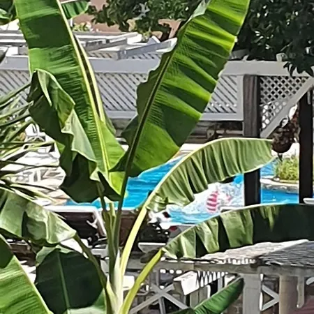 Apartment Charevie Beach *